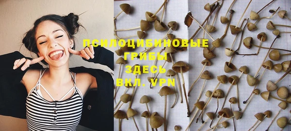 спиды Белоозёрский